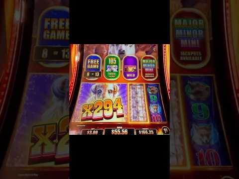 Spin en geniet van online casino spellen op SpinAndo Casino, nu beschikbaar in België