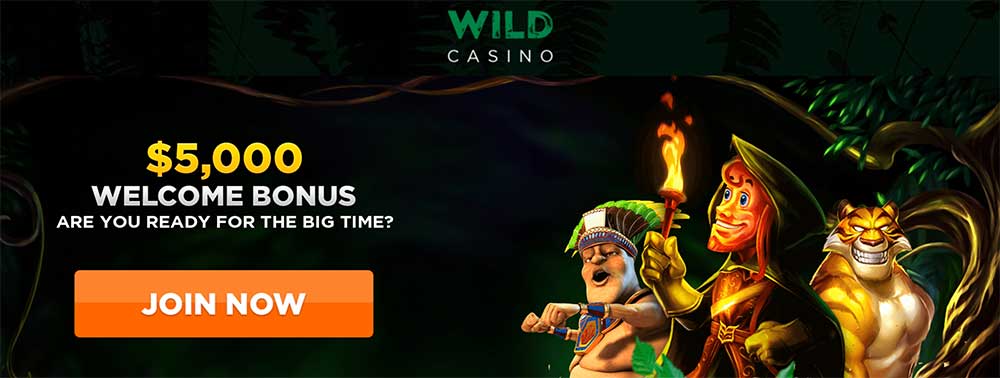 Wild Casino Promo Code 2025 - Win Up To $5,000 Bonus