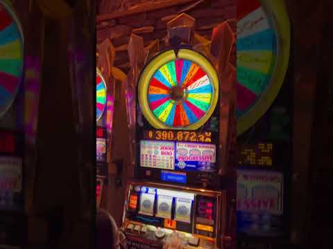 Gioca al Casinò Online in Italia: Registrati Subito su Vinci Spin Login