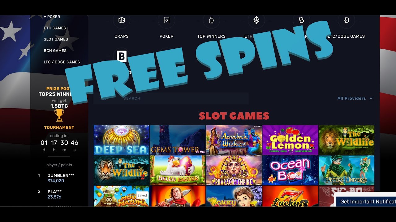 Bitcoin Casino USA No Deposit Bonus - free spins for American players ...