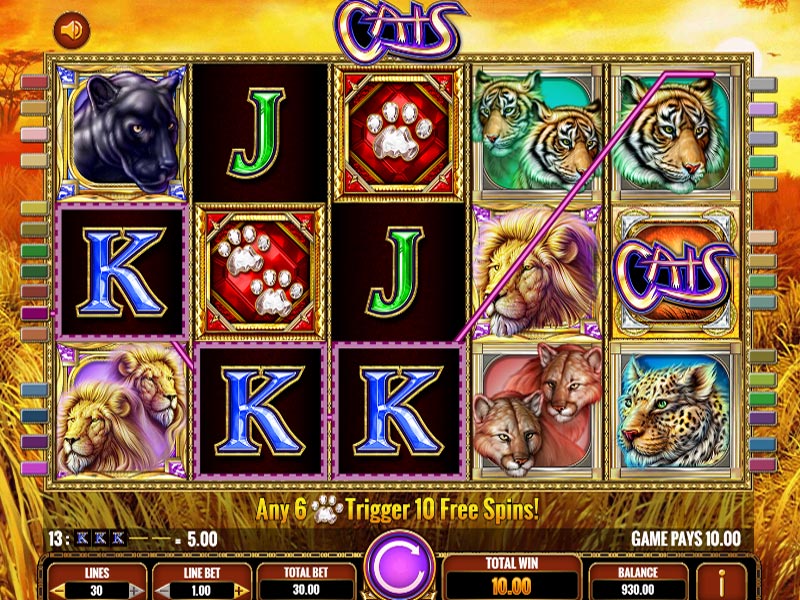 Cats slot machine by Igt provider | Special Features