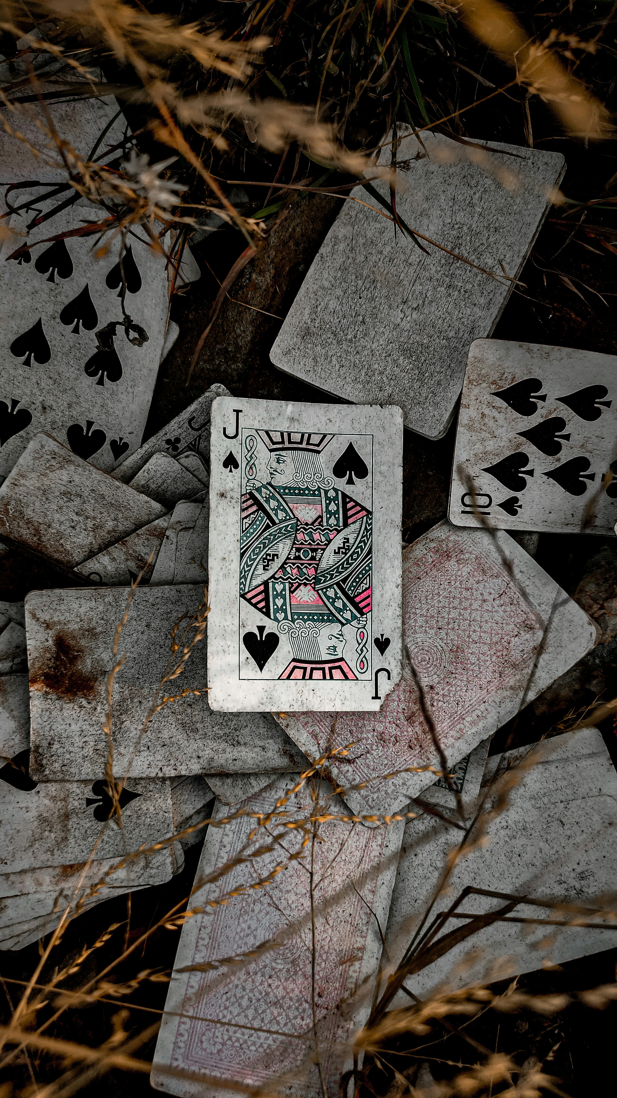 https://www.premiumtimesng.com/games/ar/QA-casinos