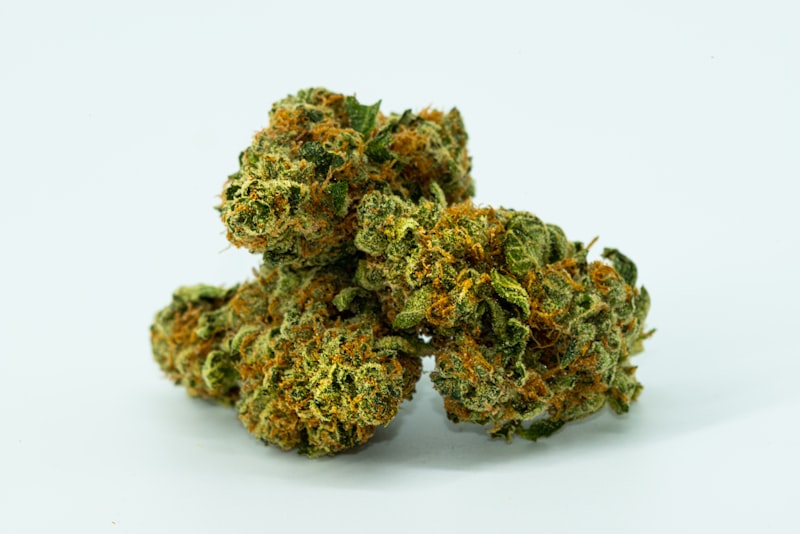 what is cannabis shake