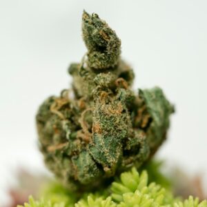 weed cali