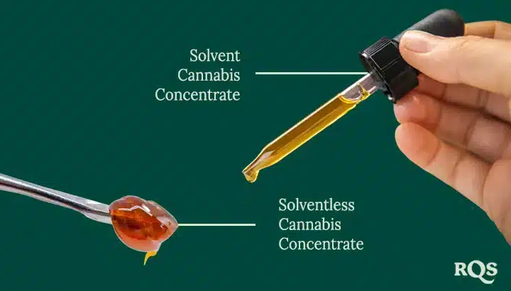 buy weed online