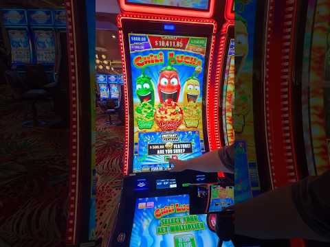 regulowany Rockyspin Casino bonus cashback oferta