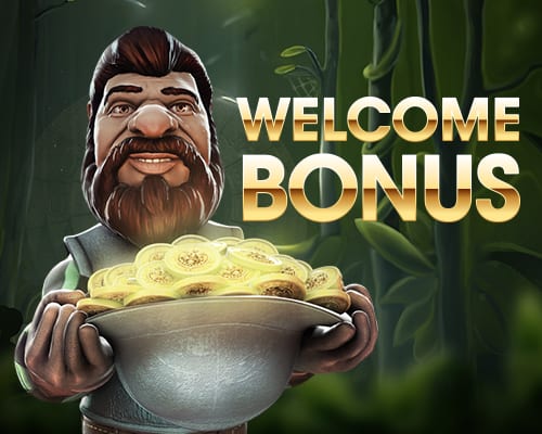 Top Welcome Bonuses for Kiwi Online Casino Gamers