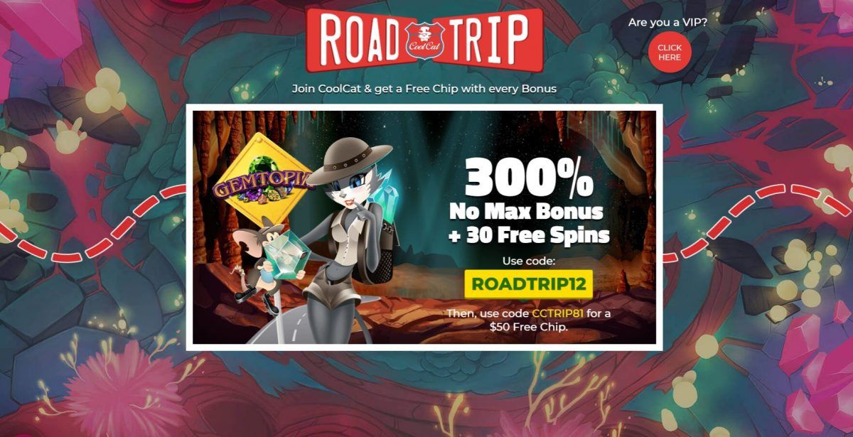 Cool Cat casino No Rules bonus codes | Low playthrough offers ⋆ Nabble ...