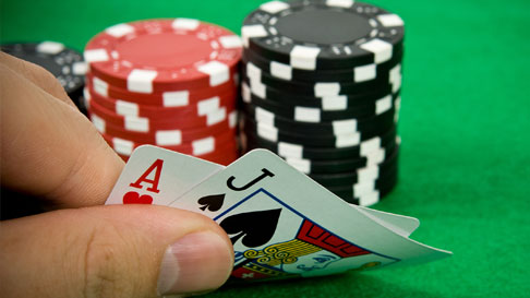 multi wild slot