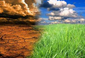 Psicologia dell'ambiente: quanto incide davvero lo spazio che ci circonda?