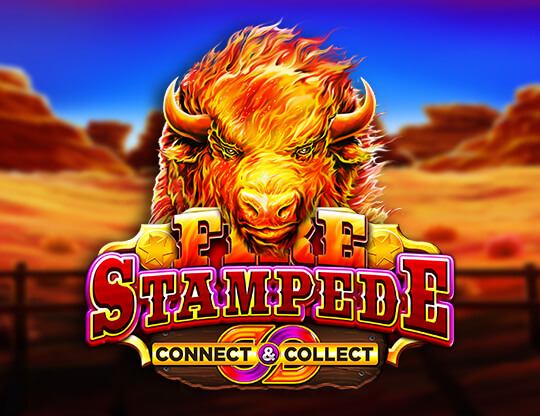 Spinit Casino New Zealand Official Website to Play Slots at Mobile Device