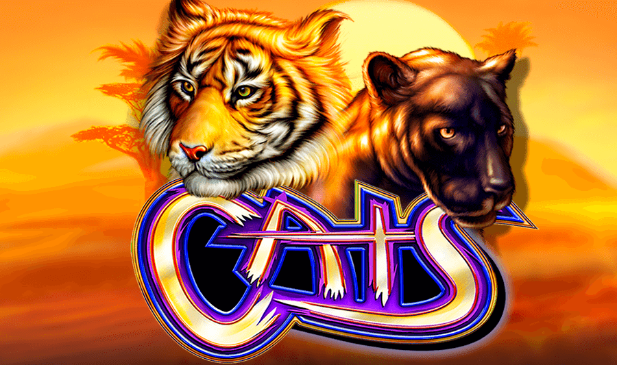 Cats Slot: Play IGT Slot Machine Game Online For Free