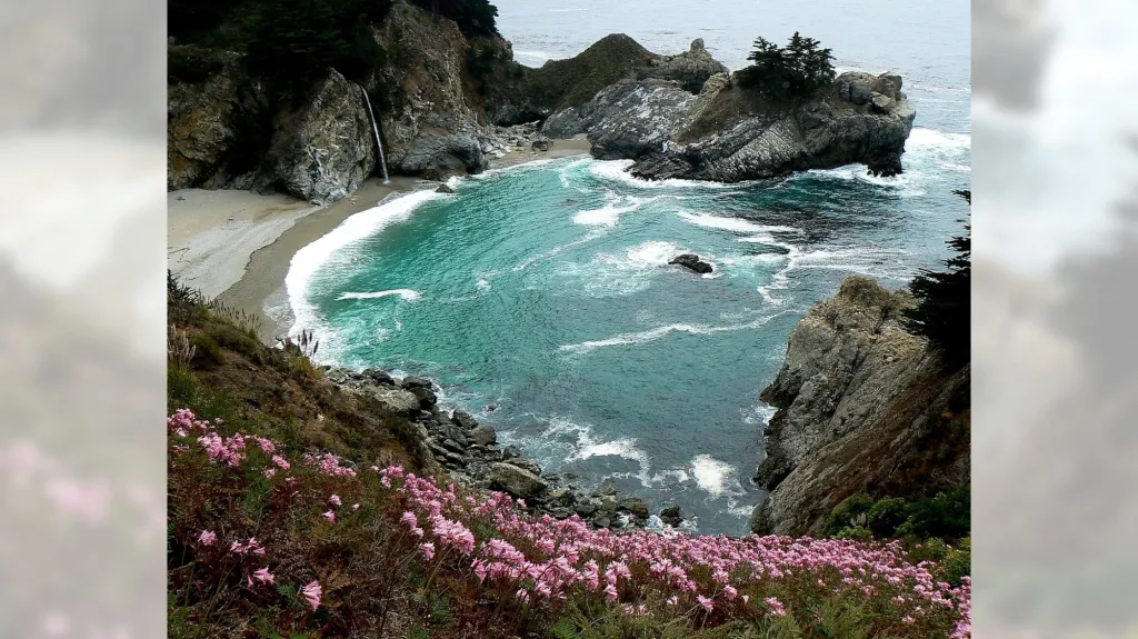 Monterey County offers nature enthusiasts treasures by land, sea and ...