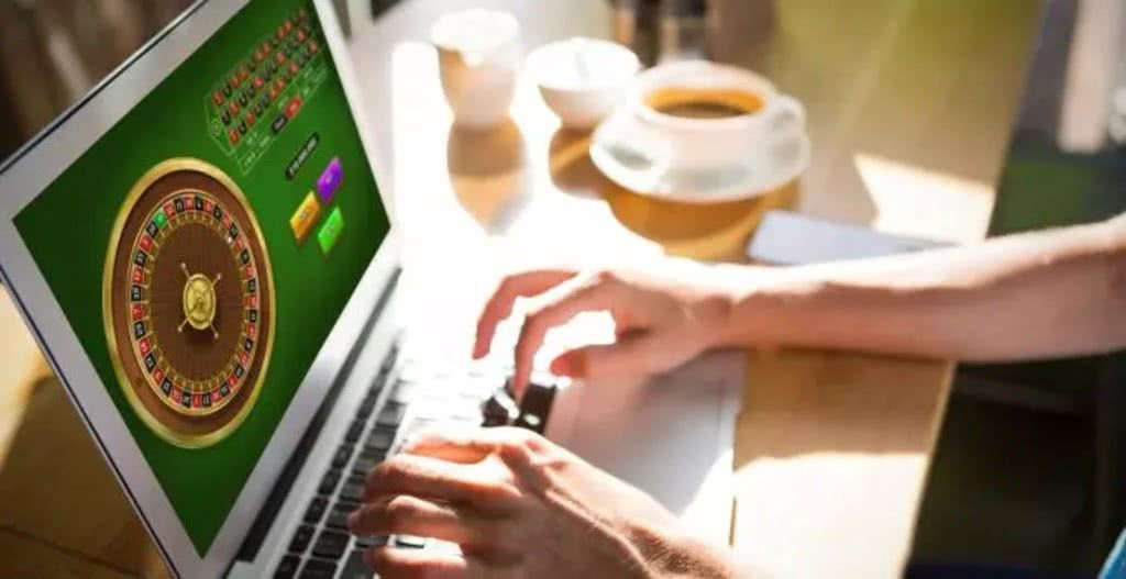 Things Every Beginner Should Know About New Casino Websites - Bonus Reward