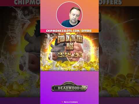 Experimente WinBay casino: Jogue Gratuitamente nos Slots e Diversifique suas Horas de Casino Online em Portugal