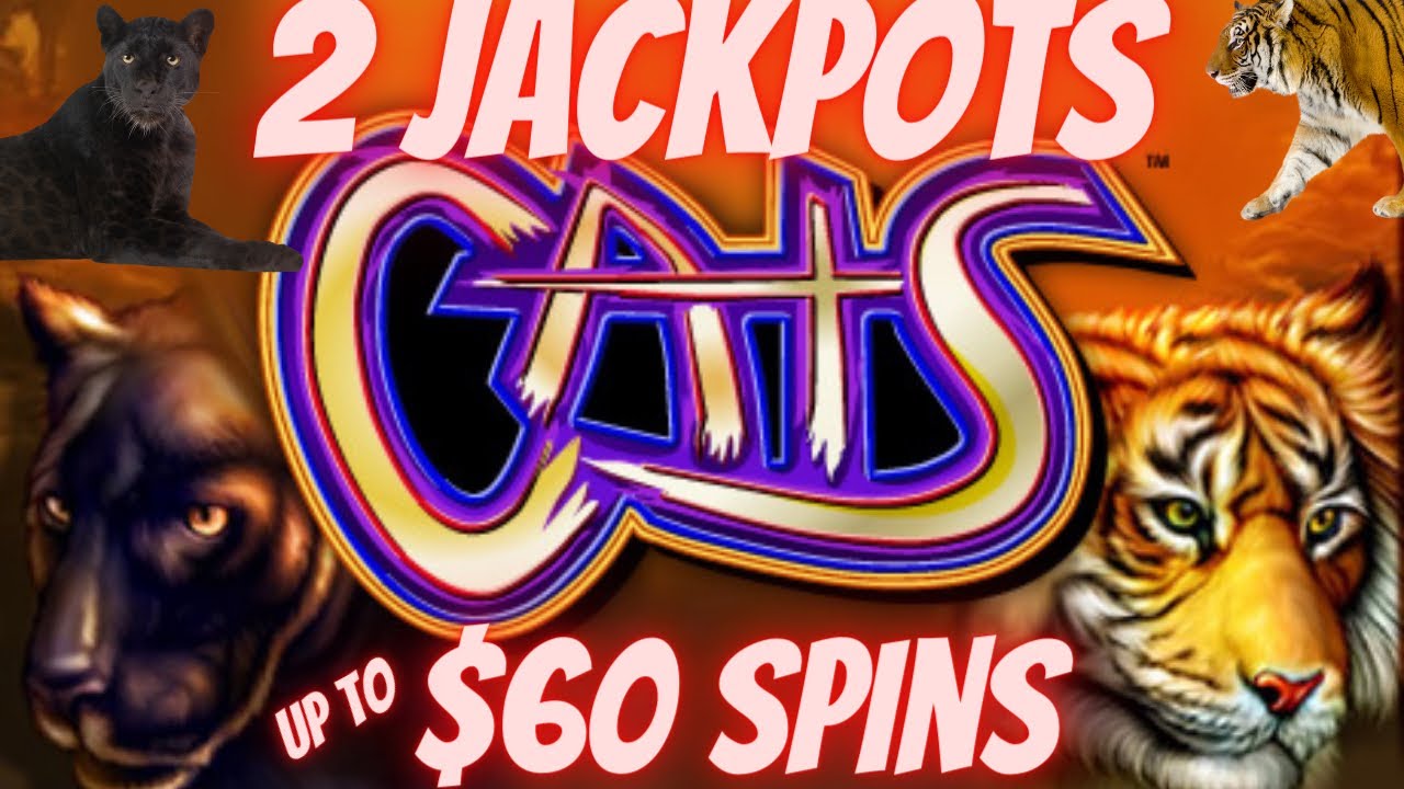 2 JACKPOTS ON CATS SLOT MACHINE HIGH LIMIT $60 SPINS LIVE PLAY AT WYNN ...