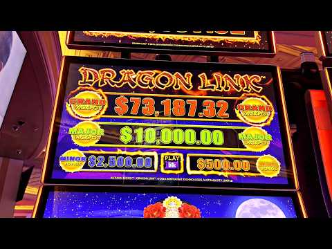 regulated WildHub Casino real money casino advertisement
